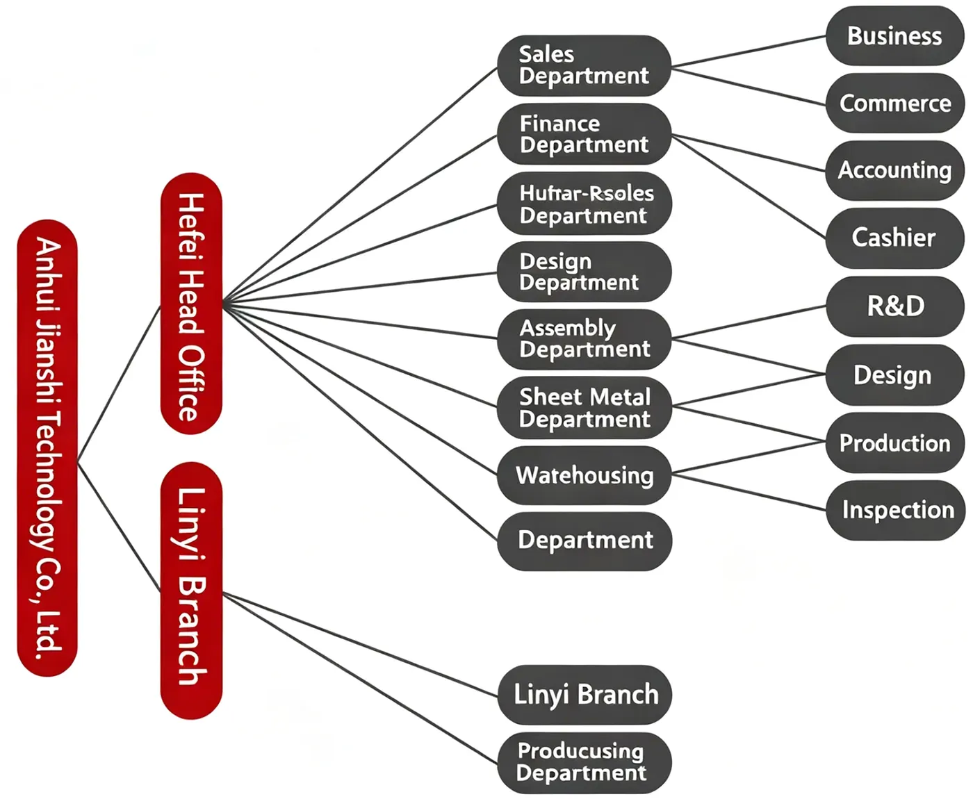 Organizational structure chart of Anhui Shushi Technology Co., Ltd.